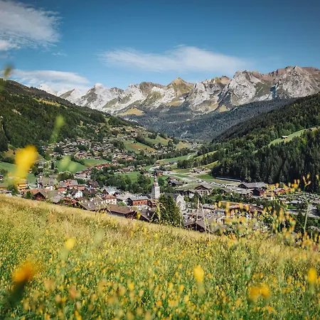 Montagnard Avec Acces Bien-etre, Proche Des Pistes De Au Grand-bornand - Fr-1-467-35 شقة